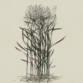 ��-Sketchup��ͼ��ʦEnscape����ģ��2022051181