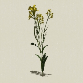 ����-Sketchup��ͼ��ʦEnscape����ģ��2022051150