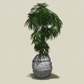 ����ֲ��-Sketchup��ͼ��ʦEnscape����ģ��2022051168