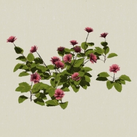 ����-Sketchup��ͼ��ʦEnscape����ģ��20220511107