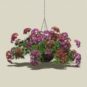 ����ֲ��-Sketchup��ͼ��ʦEnscape����ģ��20220511448