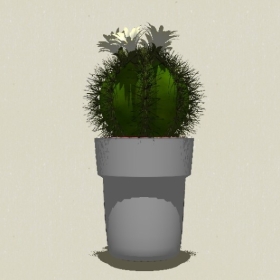 ����ֲ��-Sketchup��ͼ��ʦEnscape����ģ��2022051195