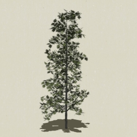 ��ľ-Sketchup��ͼ��ʦEnscape����ģ��20220511102