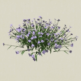 ����-Sketchup��ͼ��ʦEnscape����ģ��2022051186