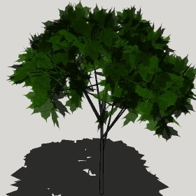 ͼʦģֲģȫ2022145