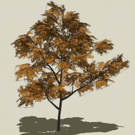 ��ľ-Sketchup��ͼ��ʦEnscape����ģ��20220511138