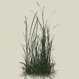 ��-Sketchup��ͼ��ʦEnscape����ģ��20220511100