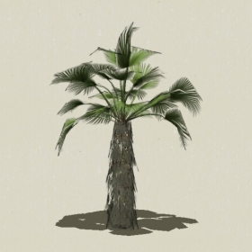 ���ֲ��-Sketchup��ͼ��ʦEnscape����ģ��2022051154