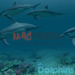 Dolphins 3D for mac v1.1.0