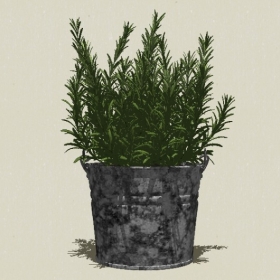 ����ֲ��-Sketchup��ͼ��ʦEnscape����ģ��20220511150