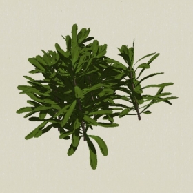 ��ľ-Sketchup��ͼ��ʦEnscape����ģ��20220511105