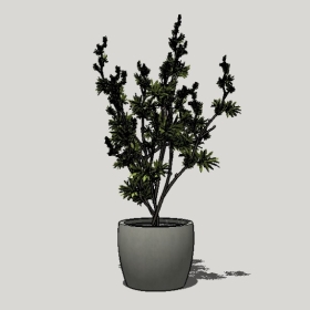 ����ֲ��_Sketchup��ͼ��ʦģ��Enscape����22020426474