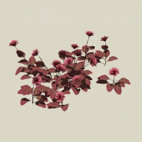 ����-Sketchup��ͼ��ʦEnscape����ģ��20220511106