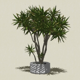 ����ֲ��-Sketchup��ͼ��ʦEnscape����ģ��2022051183