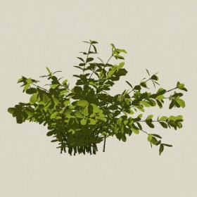 ��ľ-Sketchup��ͼ��ʦEnscape����ģ��20220511118