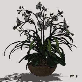 ����_Sketchup��ͼ��ʦģ��Enscape����22020426381