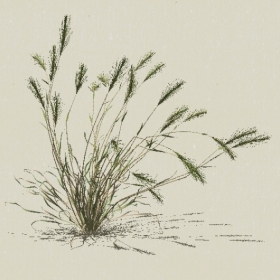 ��-Sketchup��ͼ��ʦEnscape����ģ��20220511132