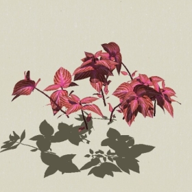 ��-Sketchup��ͼ��ʦEnscape����ģ��20220511113