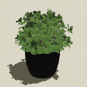 ����ֲ��-Sketchup��ͼ��ʦEnscape����ģ��20220511397