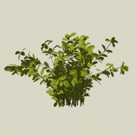 ��ľ-Sketchup��ͼ��ʦEnscape����ģ��2022051188