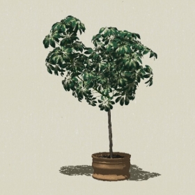 ����ֲ��-Sketchup��ͼ��ʦEnscape����ģ��20220511353