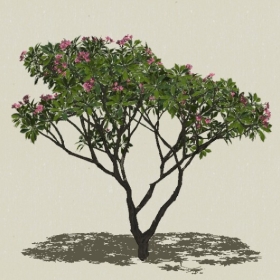 ��ľ��ľ-Sketchup��ͼ��ʦEnscape����ģ��2022051146