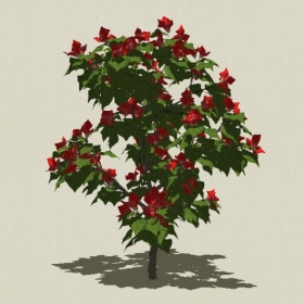 ��ľ��ľ-Sketchup��ͼ��ʦEnscape����ģ��2022051114