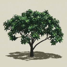 ��ľ��ľ-Sketchup��ͼ��ʦEnscape����ģ��2022051119