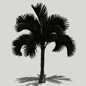 ���ֲ��_Enscape���ʲ�ͼ��ʦģ���������202204205546