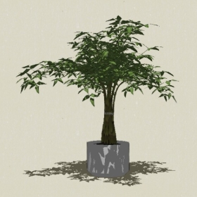 ����ֲ��-Sketchup��ͼ��ʦEnscape����ģ��20220511264