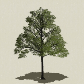 ��ľ-Sketchup��ͼ��ʦEnscape����ģ��2022051129