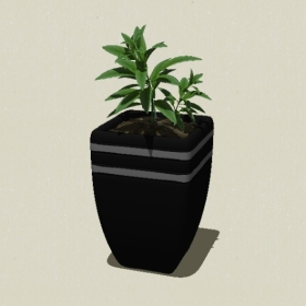 ����ֲ��-Sketchup��ͼ��ʦEnscape����ģ��20220511157