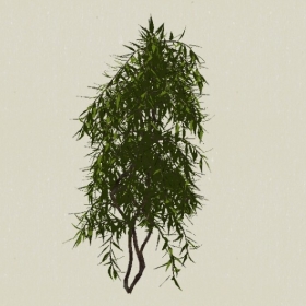 ��ľ-Sketchup��ͼ��ʦEnscape����ģ��20220511108