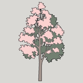 ͼʦģֲģȫ2022178