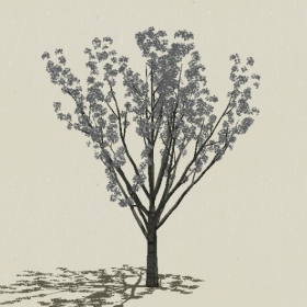 ��ľ��ľ-Sketchup��ͼ��ʦEnscape����ģ��2022051175