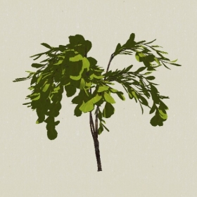 ��ľ-Sketchup��ͼ��ʦEnscape����ģ��2022051168