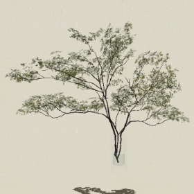 ����-Sketchup��ͼ��ʦEnscape����ģ��2022051136