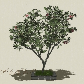 ��ľ��ľ-Sketchup��ͼ��ʦEnscape����ģ��2022051149