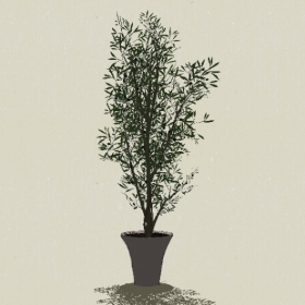 ����ֲ��-Sketchup��ͼ��ʦEnscape����ģ��20220511317