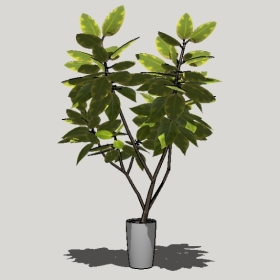 ����ֲ��_Sketchup��ͼ��ʦģ��Enscape����22020426467