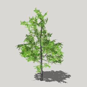 草图大师模型植物简模齐全2022年1254