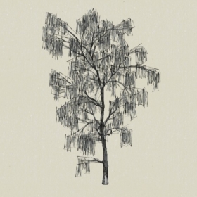 ��ľ-Sketchup��ͼ��ʦEnscape����ģ��20220511112