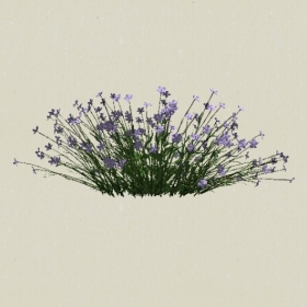 ����-Sketchup��ͼ��ʦEnscape����ģ��2022051199