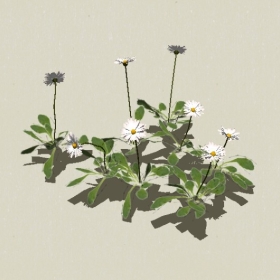 ����-Sketchup��ͼ��ʦEnscape����ģ��20220511118