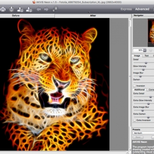 AKVIS Neon 2.0 for Adobe Photoshop Mac – 图像编辑器