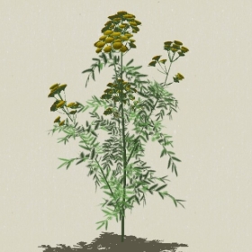 ����-Sketchup��ͼ��ʦEnscape����ģ��2022051114