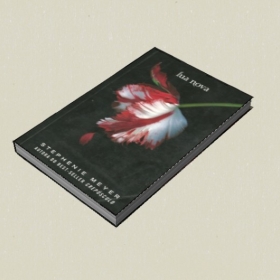 �鼮-Sketchup��ͼ��ʦEnscape����ģ��2022051151