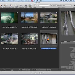GraphicConverter 9.5 for Mac – 图形转换 照片转换 最新绿化版