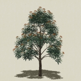 ��ľ��ľ-Sketchup��ͼ��ʦEnscape����ģ��2022051165