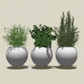 ����ֲ��-Sketchup��ͼ��ʦEnscape����ģ��2022051159